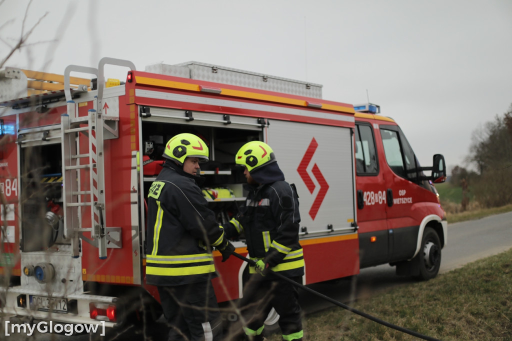 Pożar traw w gminie Pęcław