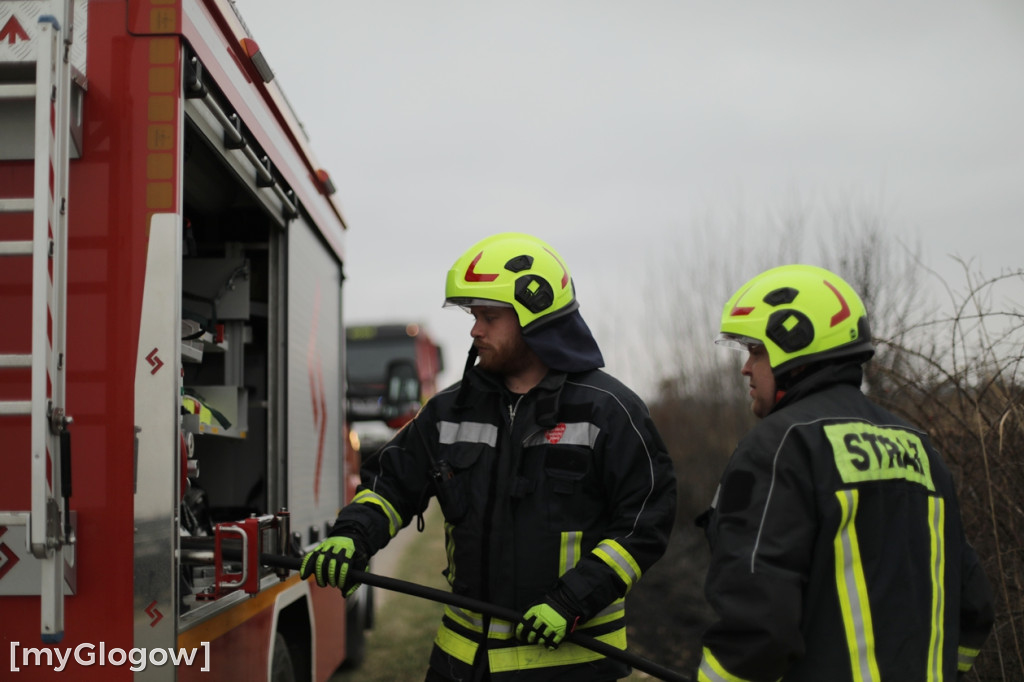 Pożar traw w gminie Pęcław