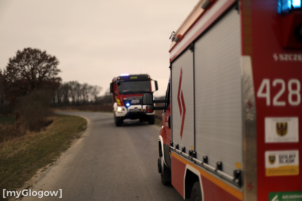 Pożar traw w gminie Pęcław