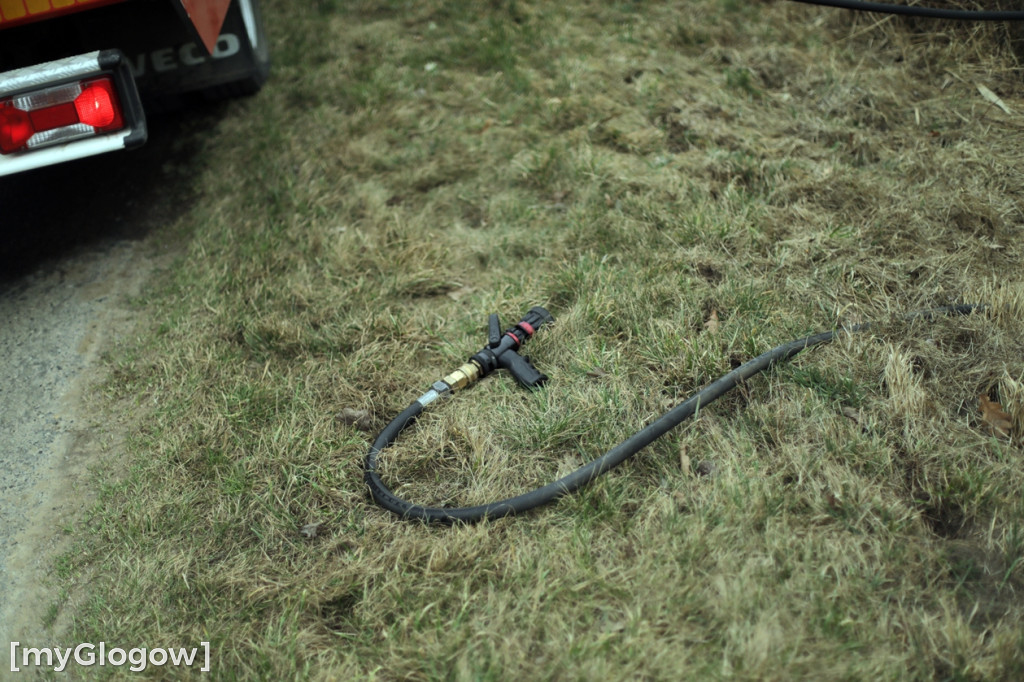 Pożar traw w gminie Pęcław