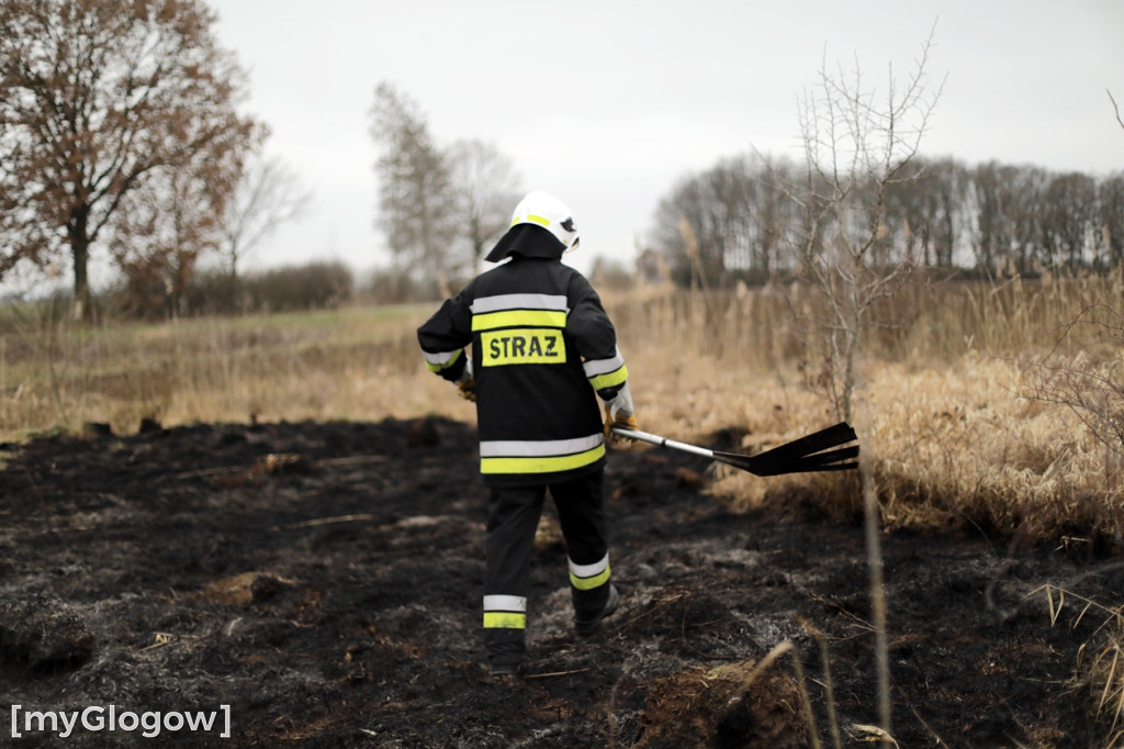 Pożar traw w gminie Pęcław