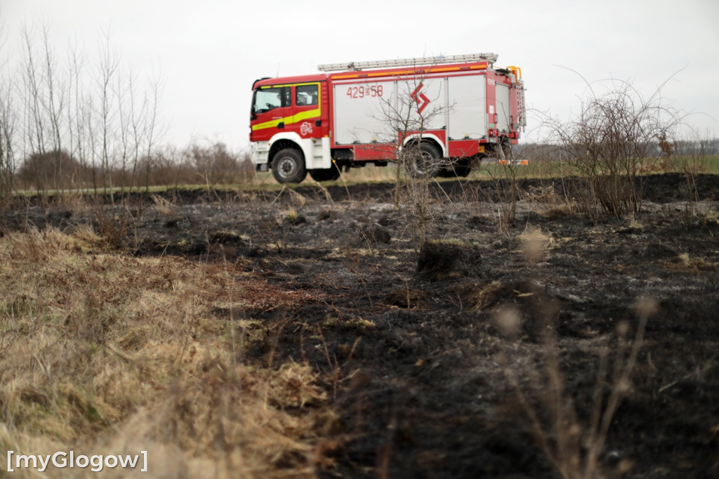Pożar traw w gminie Pęcław