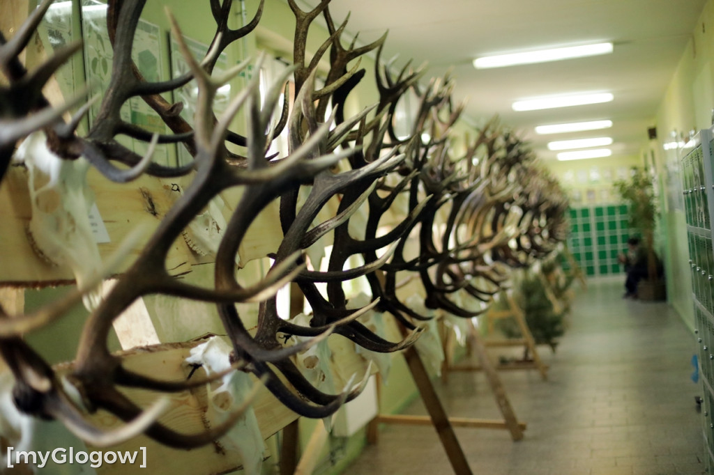 Konkurs Muzyki Myśliwskiej i Szlachetnej Sztuki Wabienia Jelenia