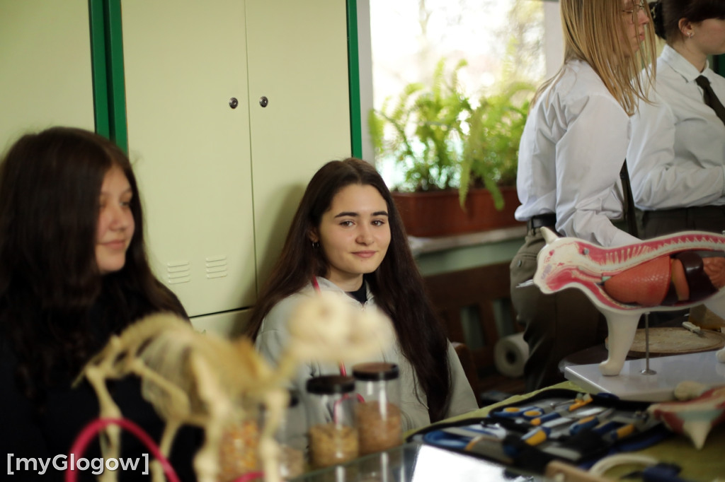 Konkurs Muzyki Myśliwskiej i Szlachetnej Sztuki Wabienia Jelenia