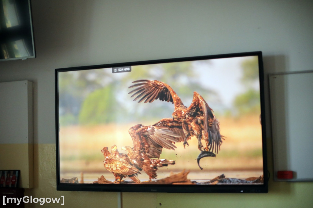 Konkurs Muzyki Myśliwskiej i Szlachetnej Sztuki Wabienia Jelenia
