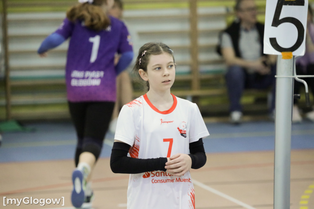 Siatkarski turniej w Głogowie