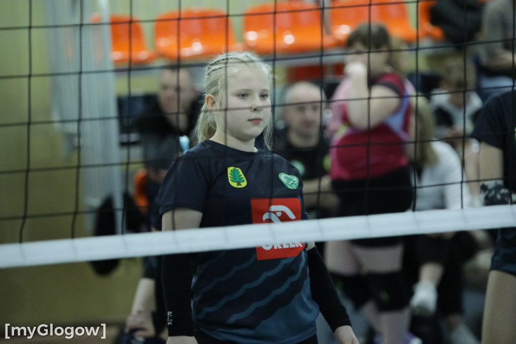 Siatkarski turniej w Głogowie