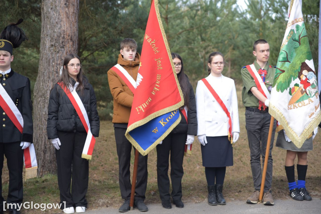 Rocznica odkrycia złóż miedzi
