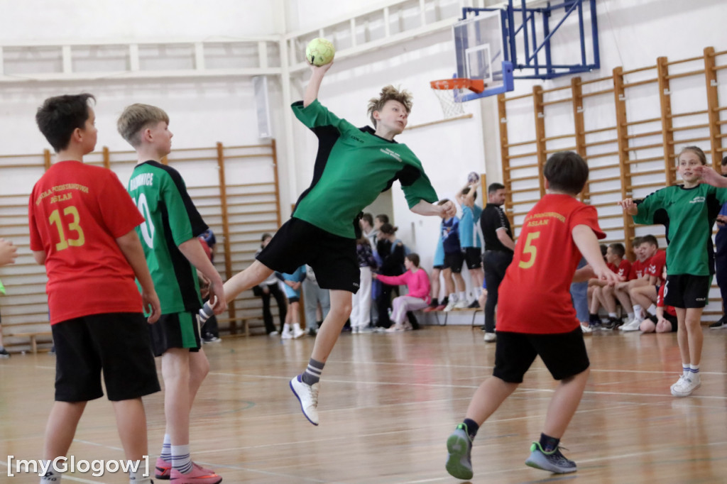 W Jerzmanowej grali w piłkę ręczną