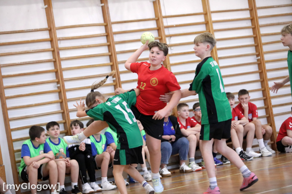 W Jerzmanowej grali w piłkę ręczną