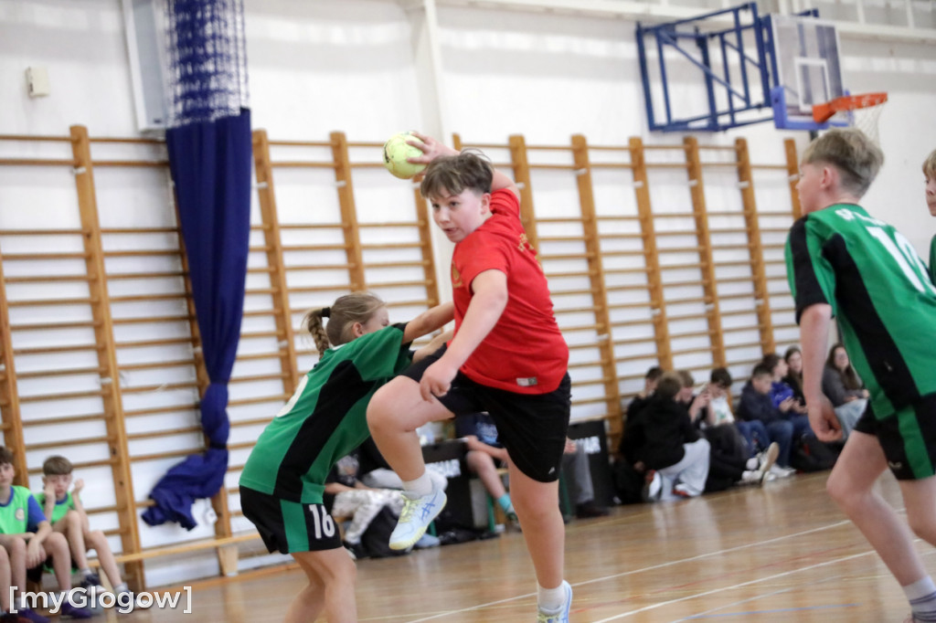 W Jerzmanowej grali w piłkę ręczną