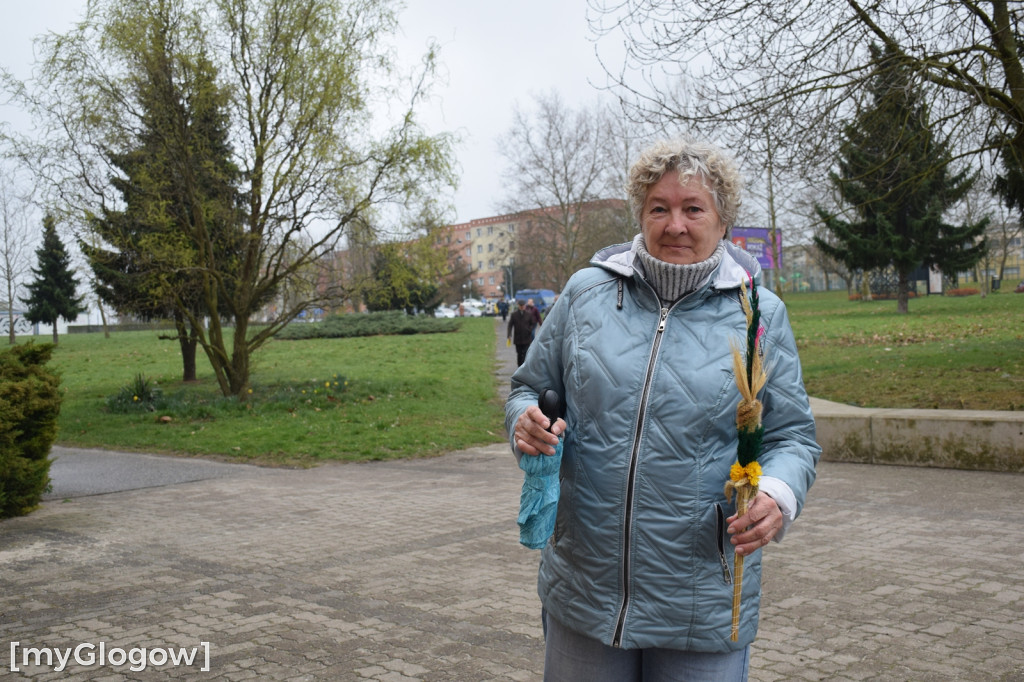 Niedziela Palmowa w Głogowie
