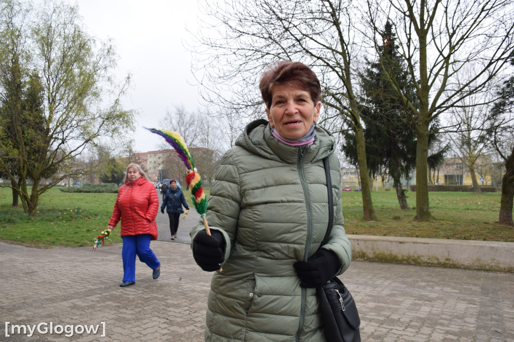 Niedziela Palmowa w Głogowie