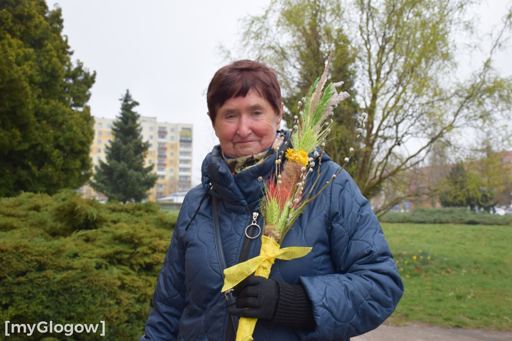 Niedziela Palmowa w Głogowie