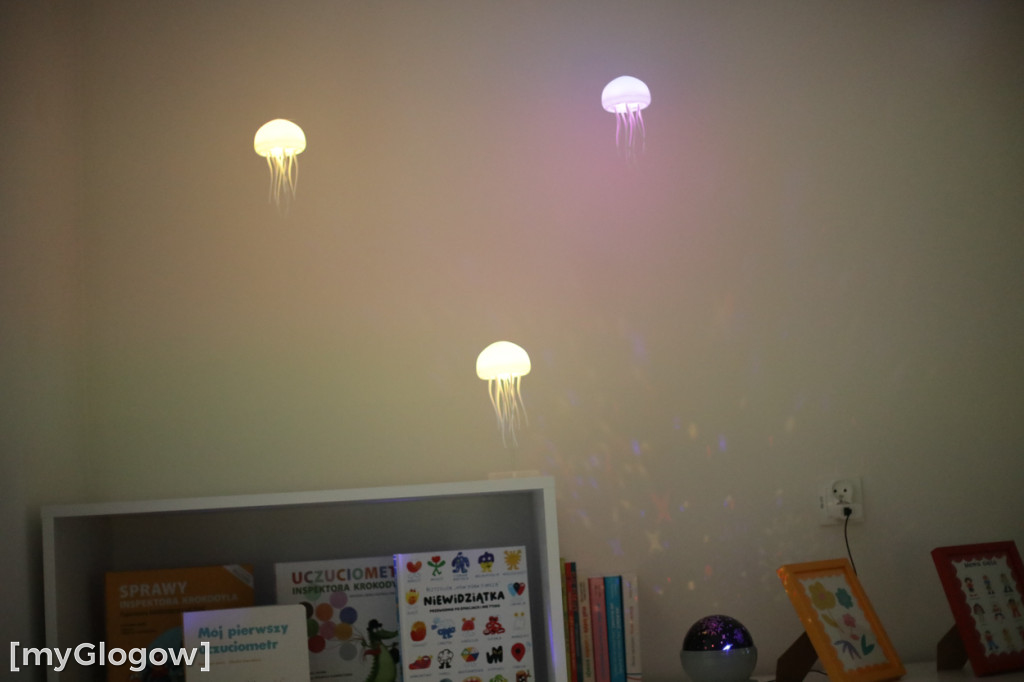 Takiego przedszkola można im zazdrościć!