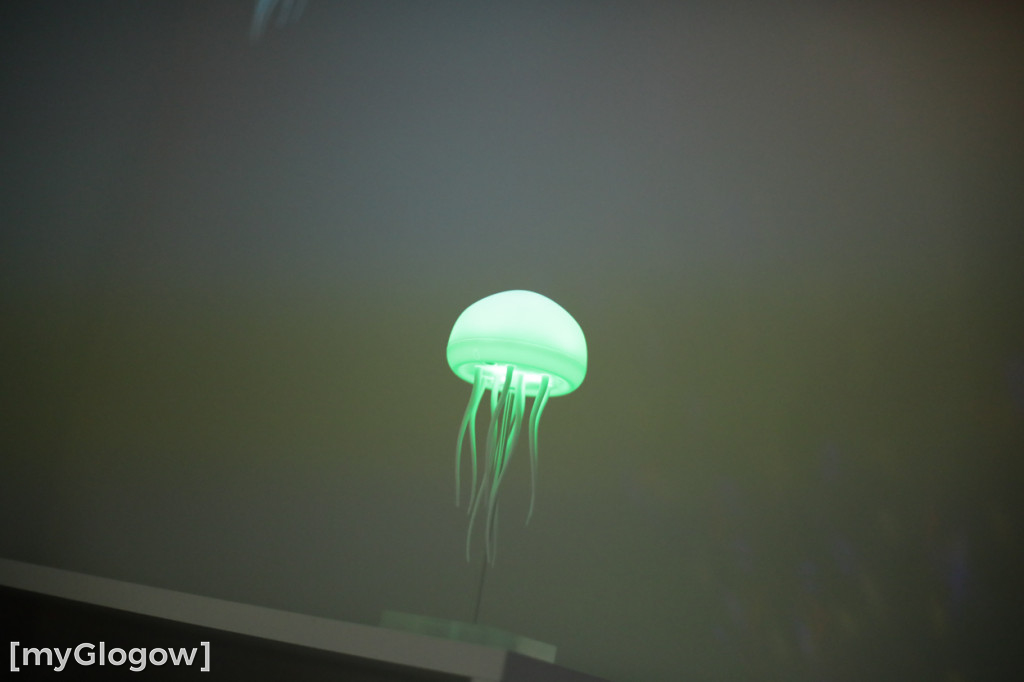 Takiego przedszkola można im zazdrościć!