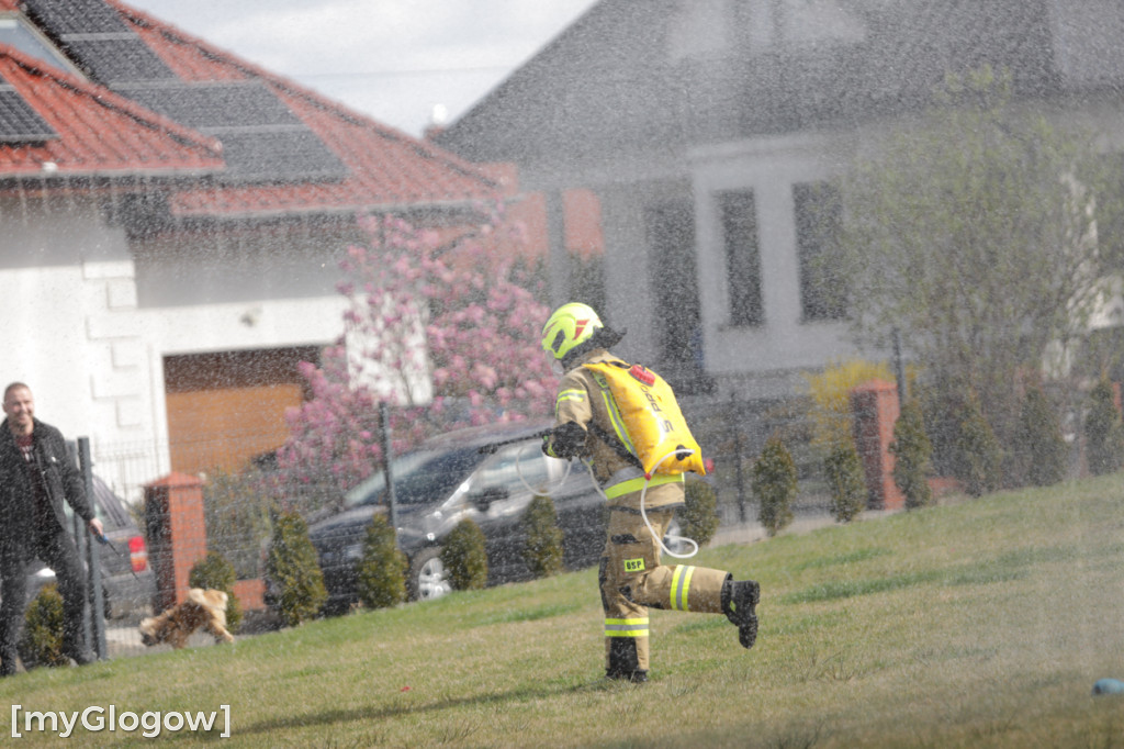 Strażacy ruszyli na mieszkańców w lany poniedziałek