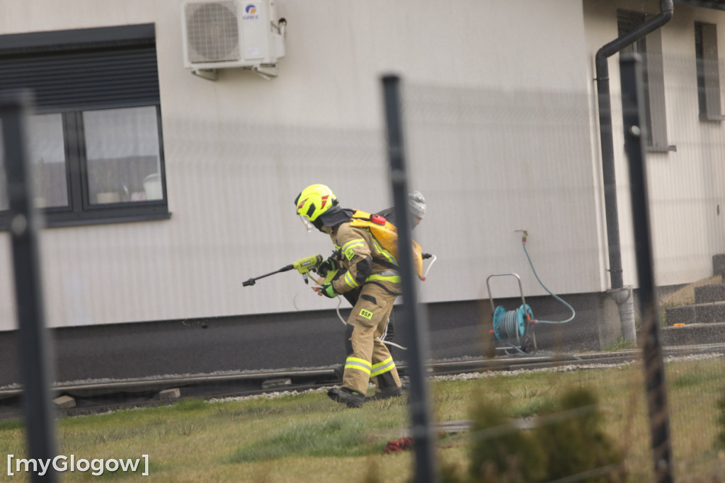 Strażacy ruszyli na mieszkańców w lany poniedziałek