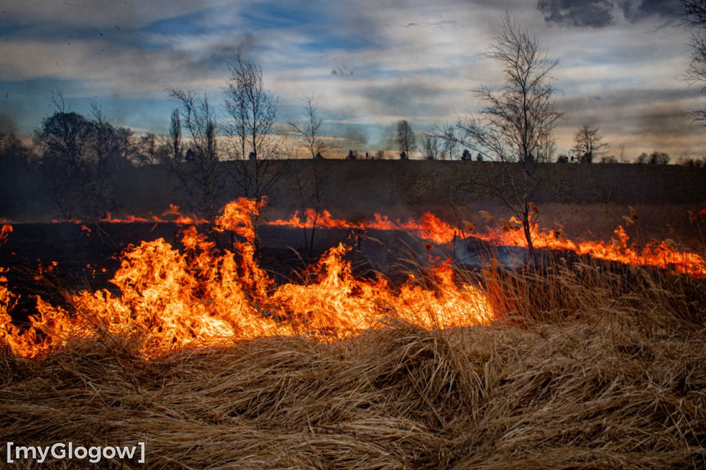 Pożar w Przemkowie
