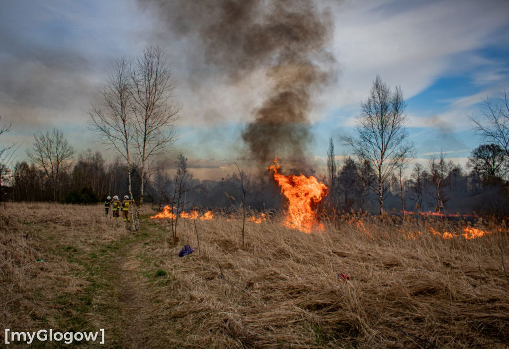 Pożar w Przemkowie