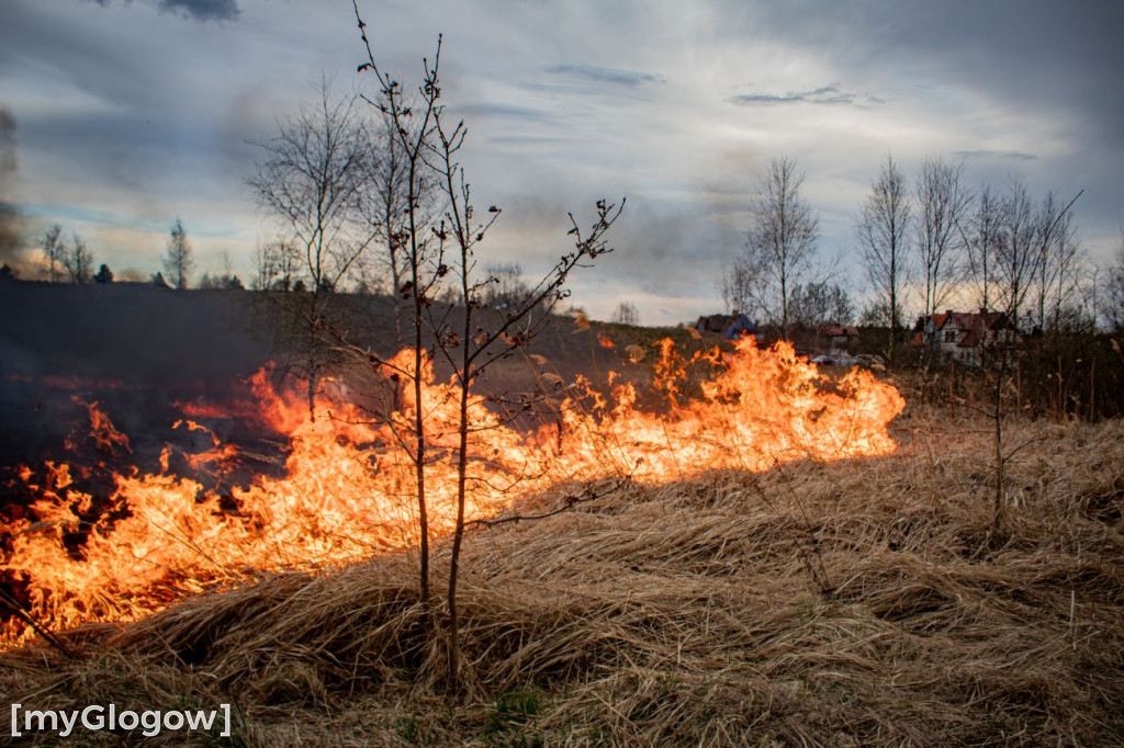 Pożar w Przemkowie