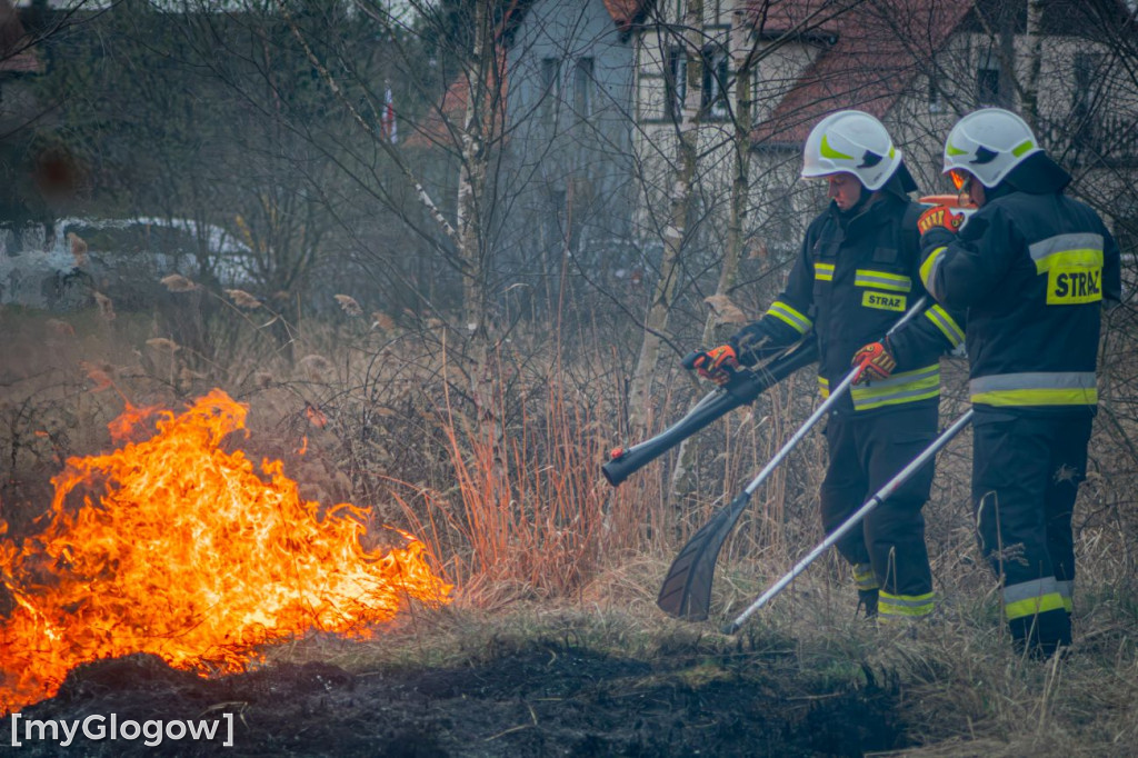Pożar w Przemkowie