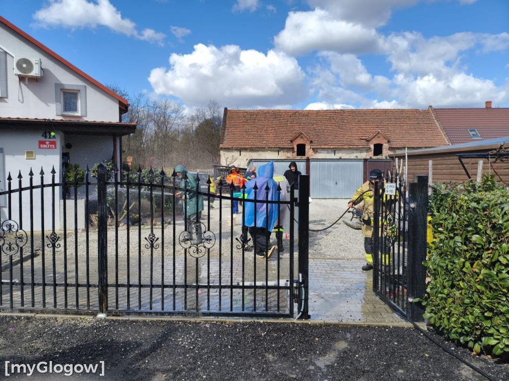 Lanie wody w Chociemyśli i Kozich Dołach