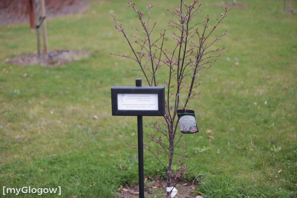 Młodzi wolontariusze chcą pomagać