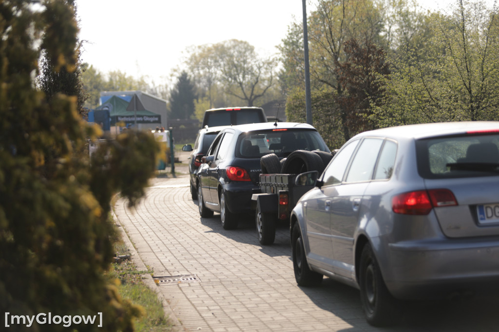 Sadzonka za oponę! Taka akcja w Głogowie