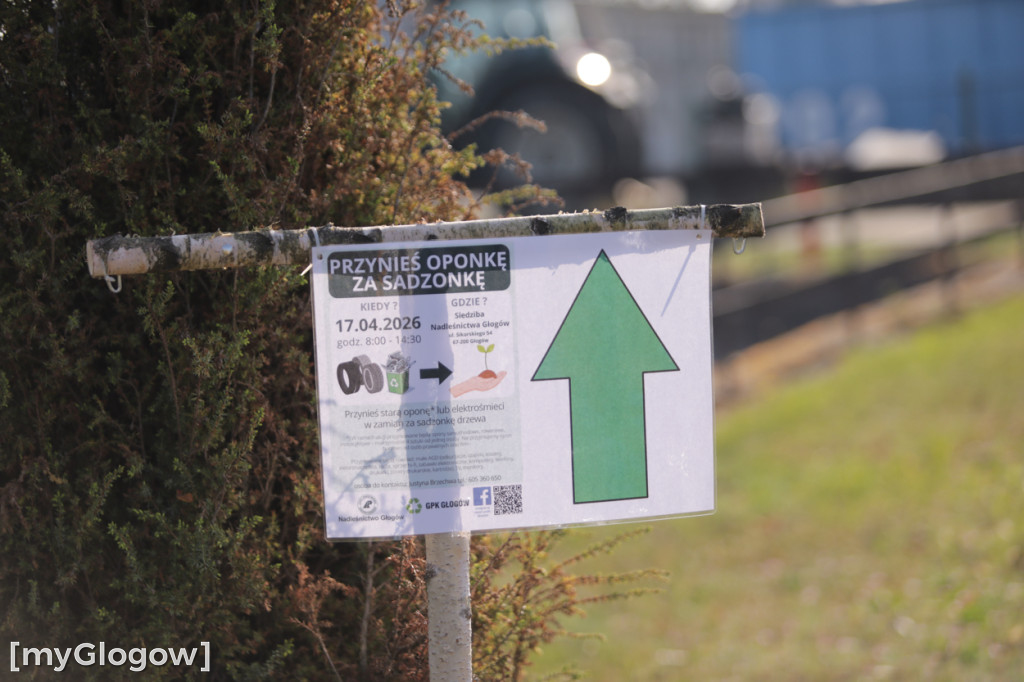 Sadzonka za oponę! Taka akcja w Głogowie