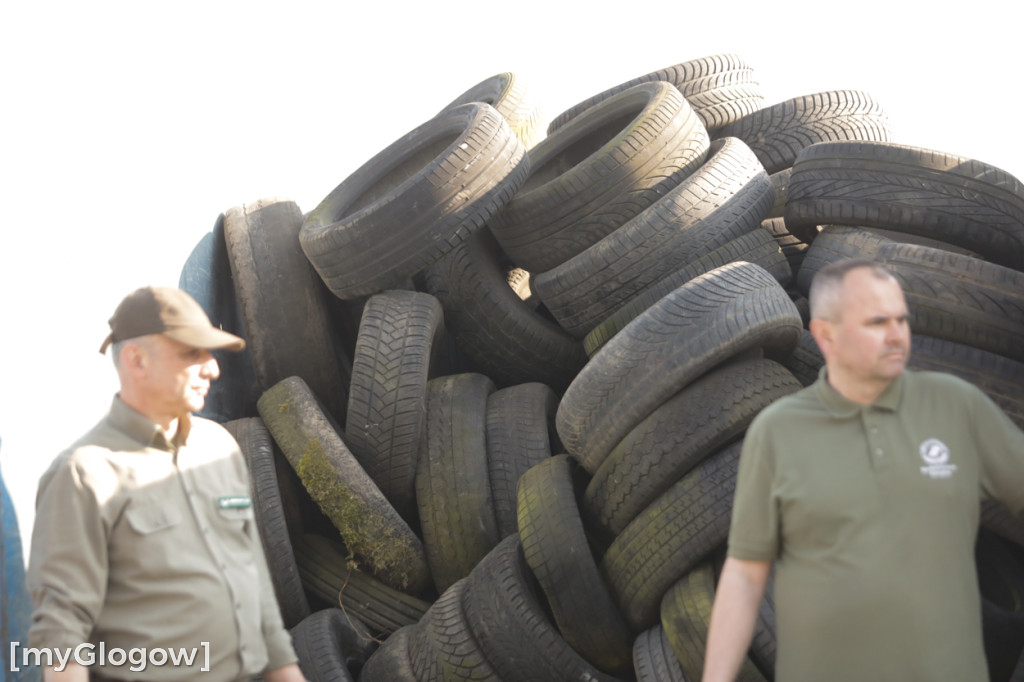 Sadzonka za oponę! Taka akcja w Głogowie