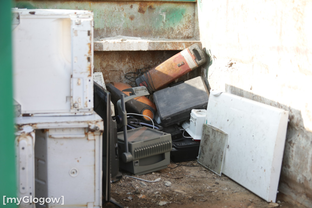 Sadzonka za oponę! Taka akcja w Głogowie