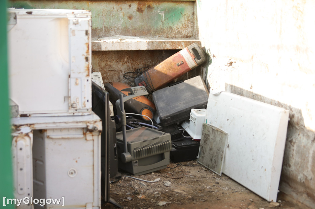 Sadzonka za oponę! Taka akcja w Głogowie