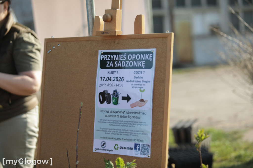 Sadzonka za oponę! Taka akcja w Głogowie