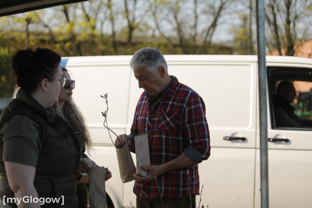 Sadzonka za oponę! Taka akcja w Głogowie
