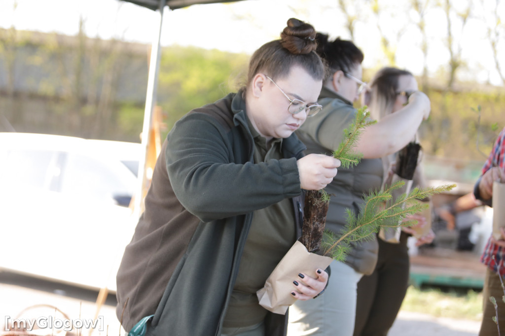 Sadzonka za oponę! Taka akcja w Głogowie