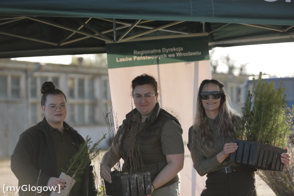 Sadzonka za oponę! Taka akcja w Głogowie