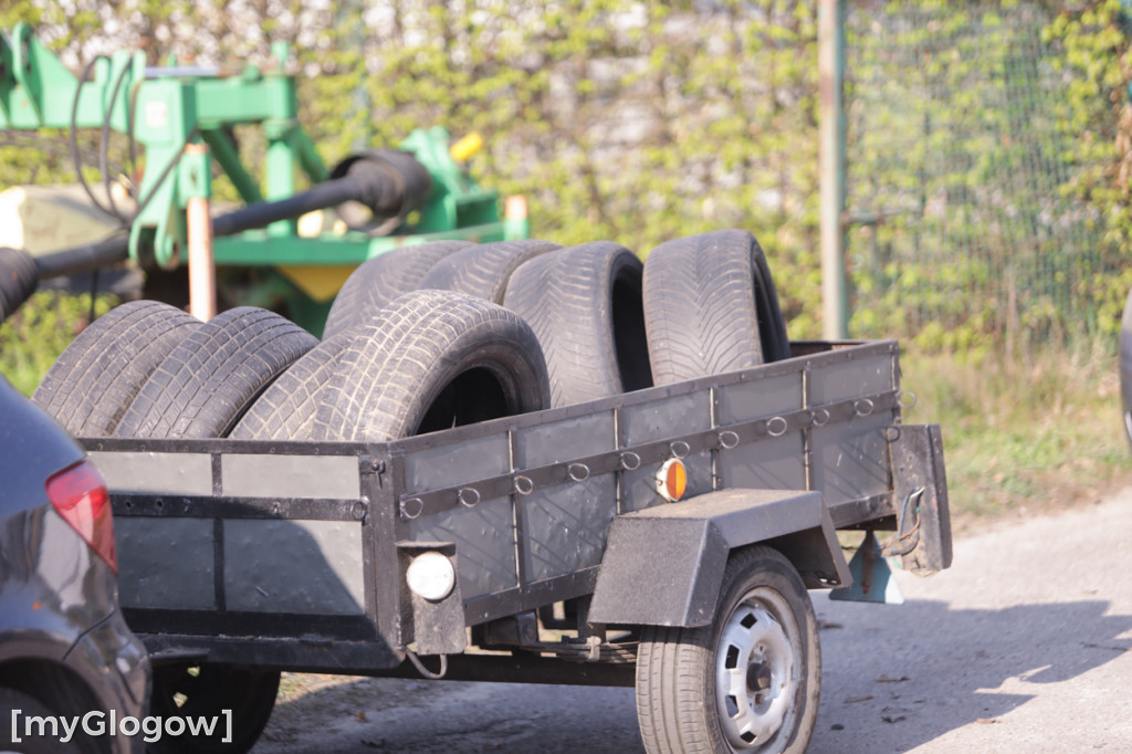 Sadzonka za oponę! Taka akcja w Głogowie