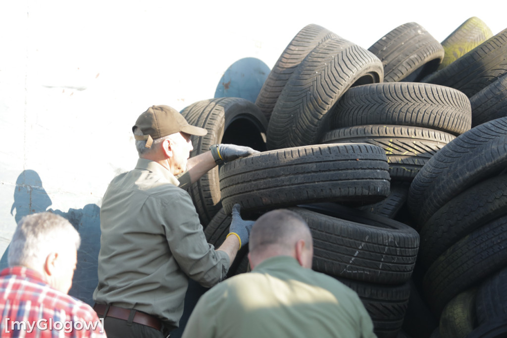 Sadzonka za oponę! Taka akcja w Głogowie