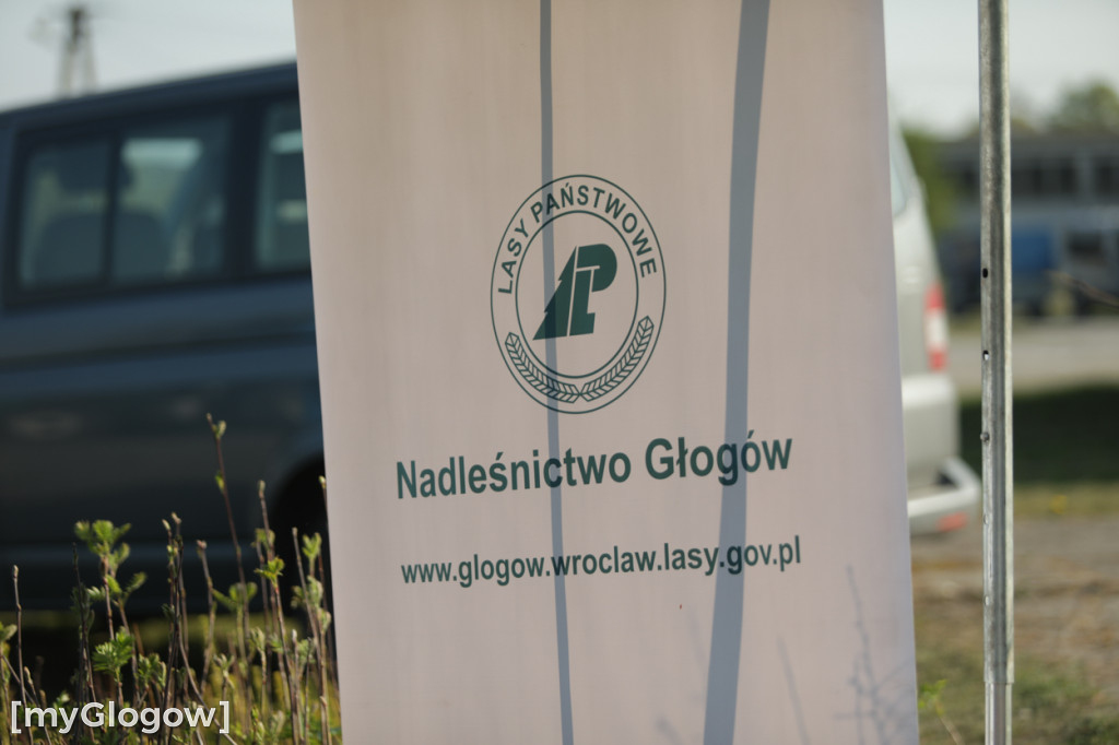 Sadzonka za oponę! Taka akcja w Głogowie