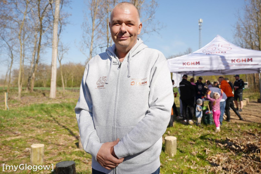 Sadzili buki koło Huty Głogów