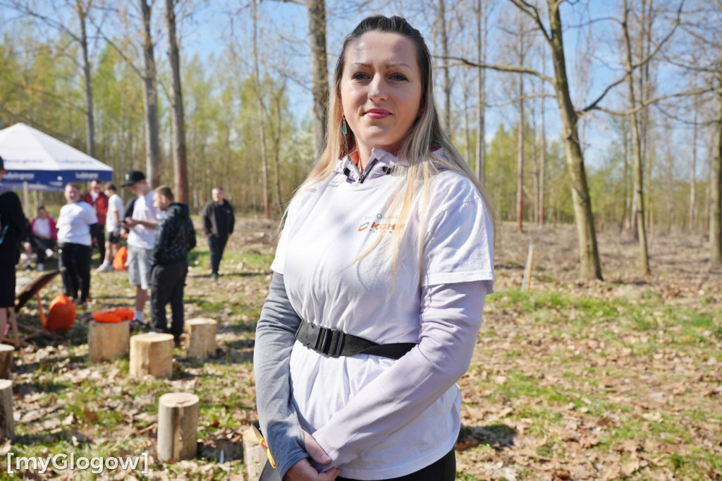 Sadzili buki koło Huty Głogów