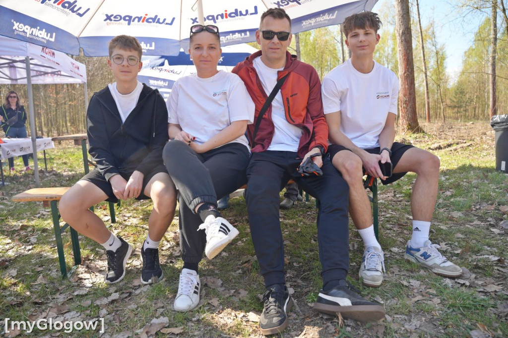 Sadzili buki koło Huty Głogów