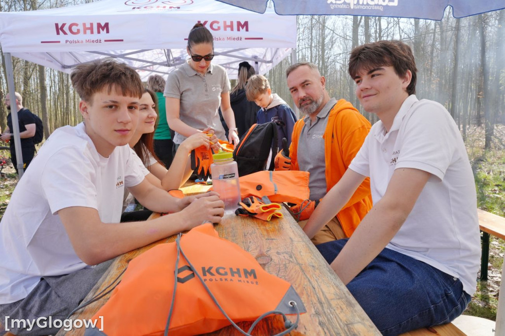 Sadzili buki koło Huty Głogów