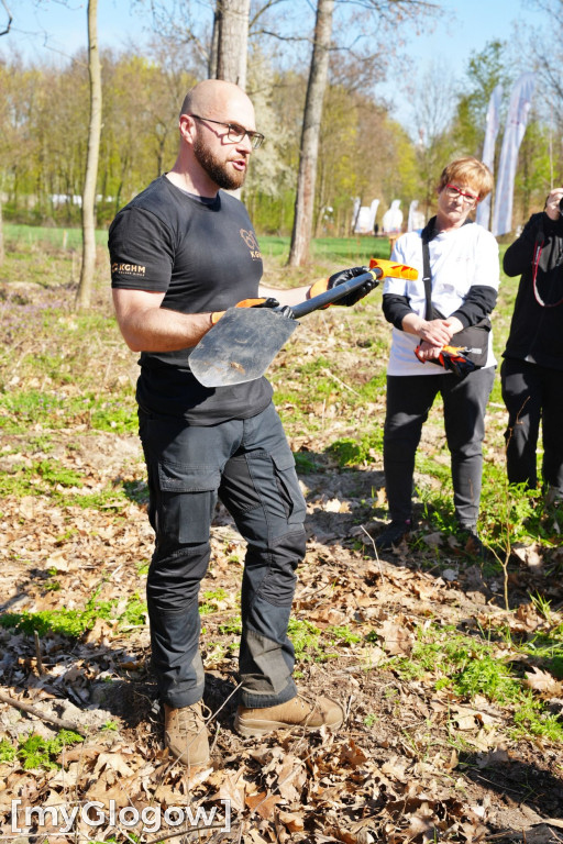 Sadzili buki koło Huty Głogów