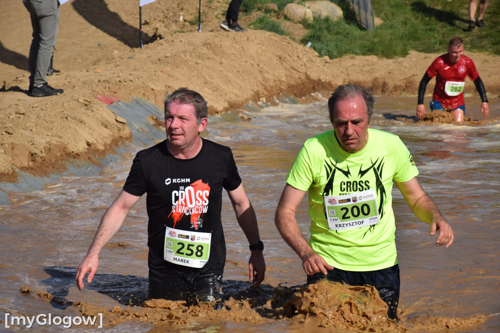 Cross Straceńców w Głogowie