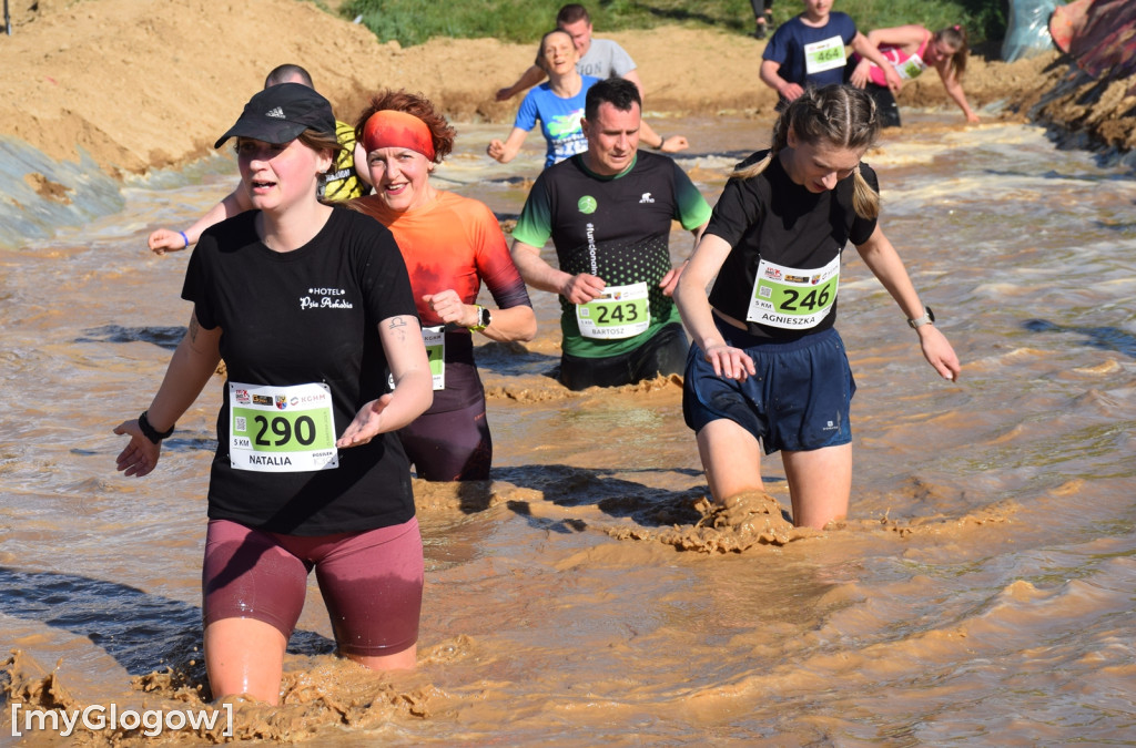 Cross Straceńców w Głogowie