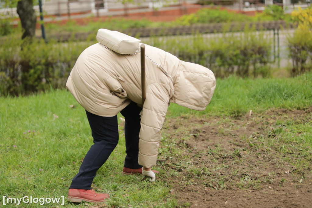 Takiego ogródka jeszcze nie było