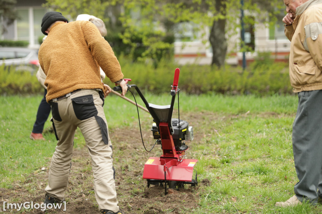Takiego ogródka jeszcze nie było