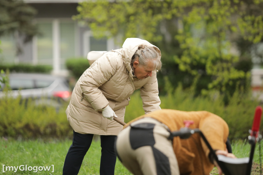 Takiego ogródka jeszcze nie było